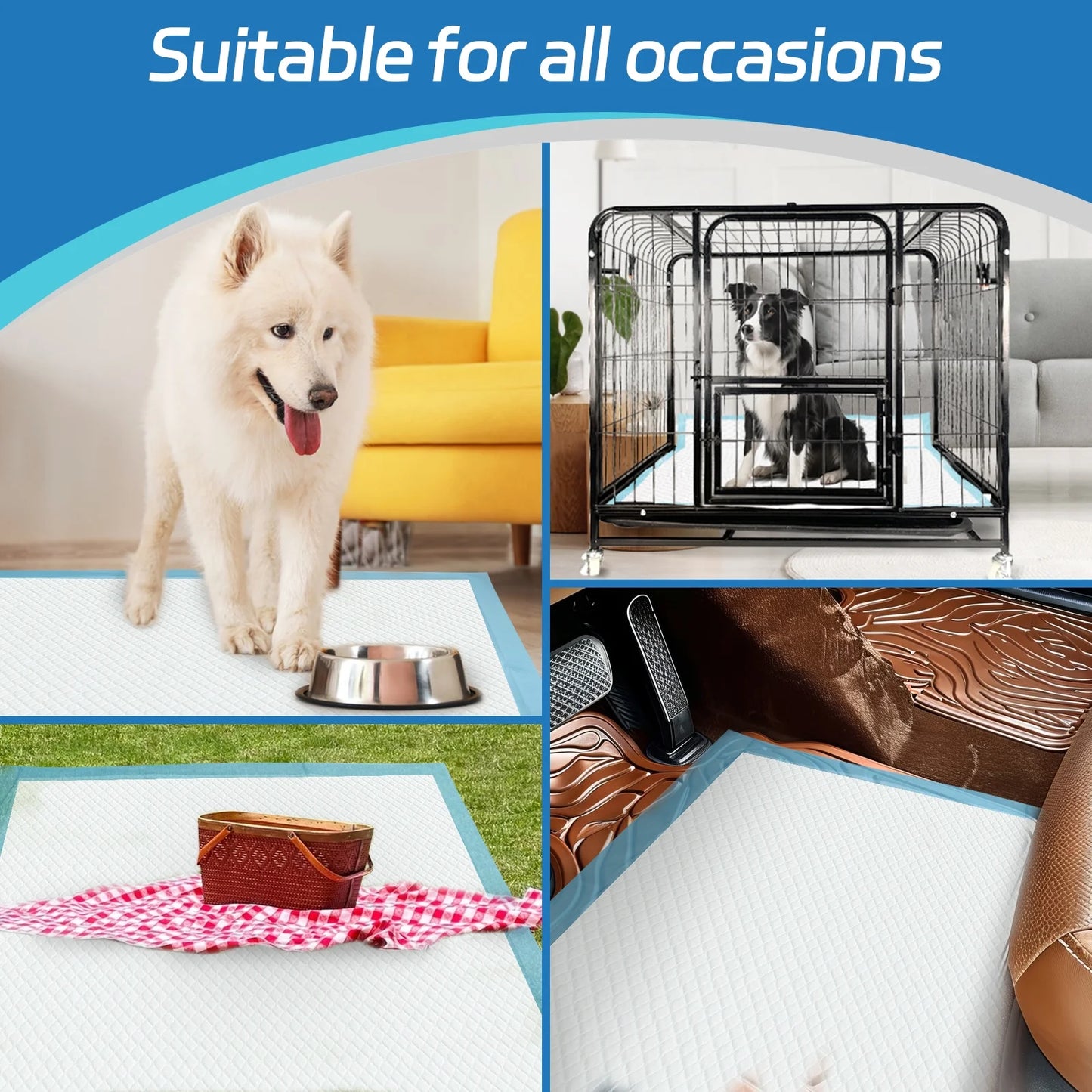 100db Higiénikus kutyapelenka 60x90cm Purlov 21603