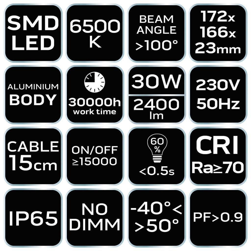 NEO TOOLS Reflektor 230V/30W, 2400lum, SMD led 2 év garanciával 99-052
