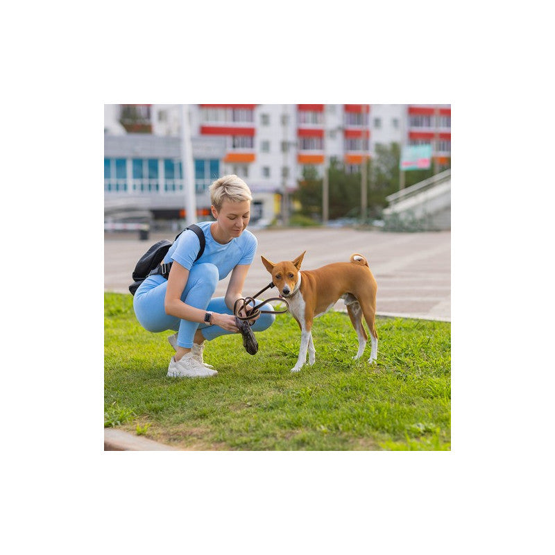 100db Higiénikus kutyapelenka 60x90cm Purlov 21603