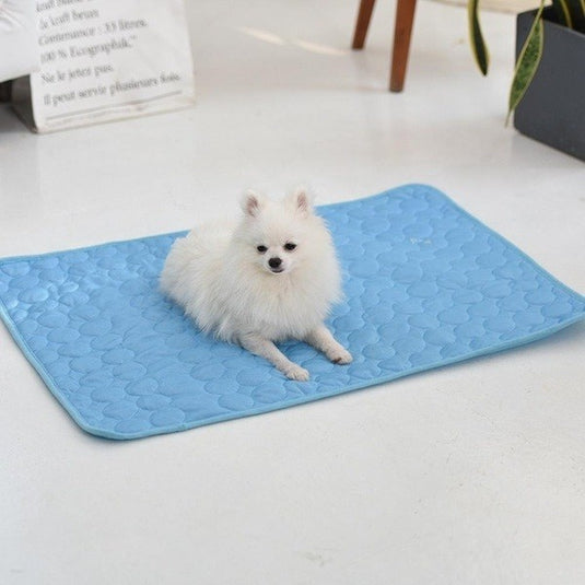 Hűsítő matrac kutyáknak