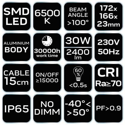 NEO TOOLS Reflektor 230V/30W, 2400lum, SMD led 2 év garanciával 99-052