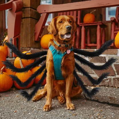 Halloweeni pók jelmez macskáknak és kis/közepes kutyáknak