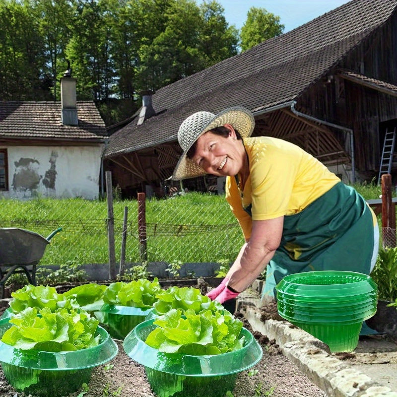 10db Kerti Üveg Fedő Növényvédő Készlet