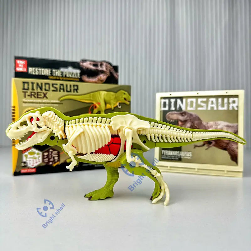 Jurassic Dino Fosszília Készlet