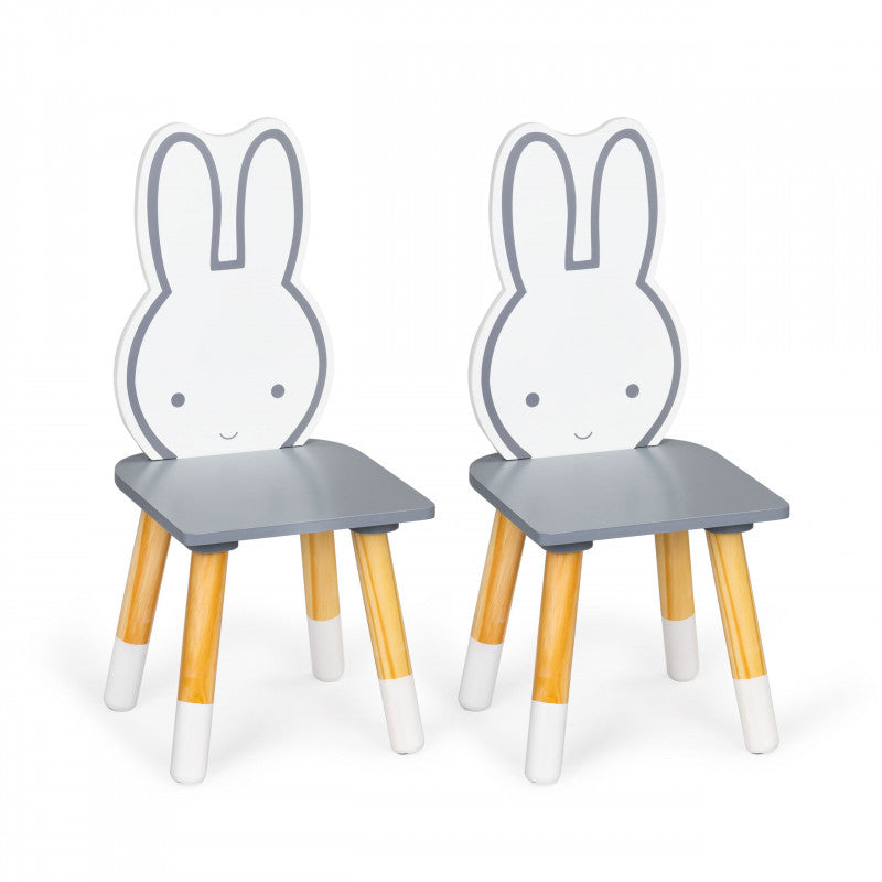 Gyerekasztal két székkel gyermekbútor készlet ECOTOYS