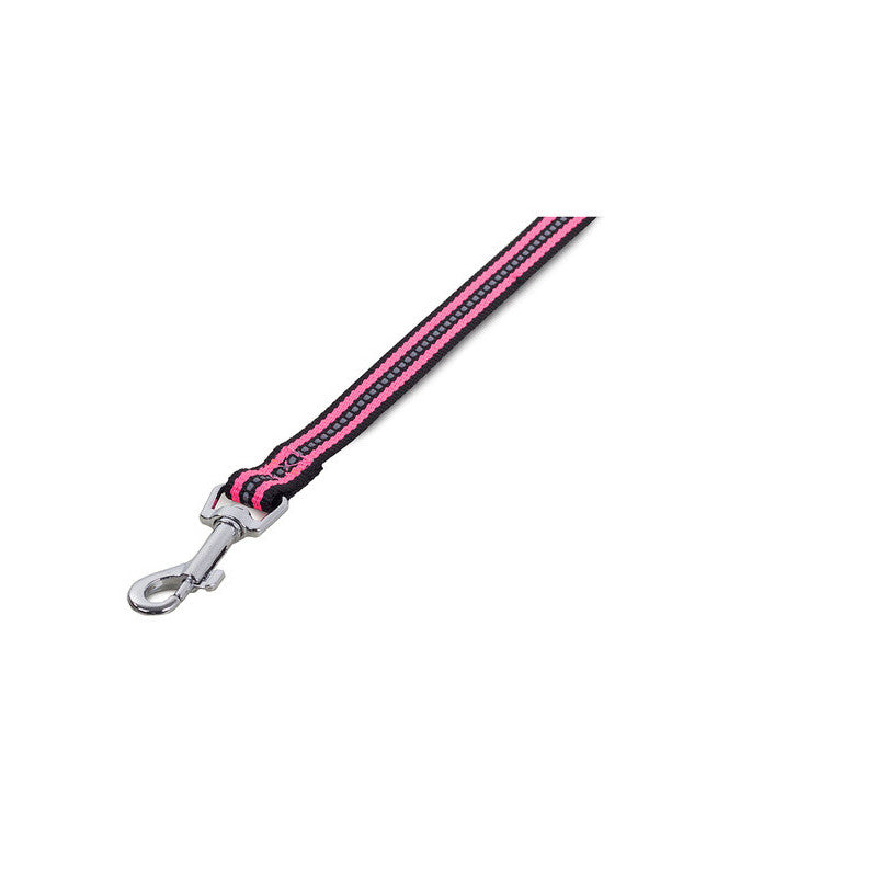Kutyahám + fényvisszaverő póráz 2.5cm - Kutyahám, póráz, fényvisszaverő, sétáltatás, kutyasétáltatás, kutyafelszerelés